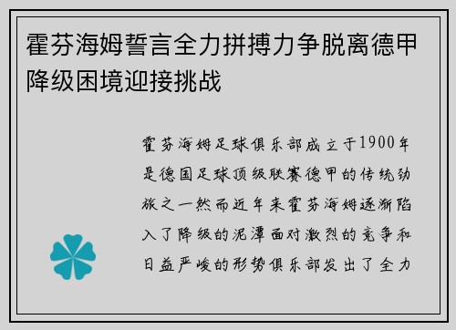 霍芬海姆誓言全力拼搏力争脱离德甲降级困境迎接挑战