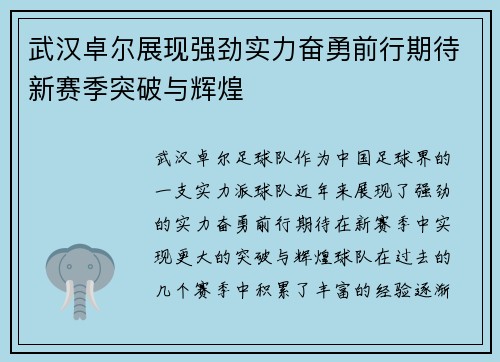 武汉卓尔展现强劲实力奋勇前行期待新赛季突破与辉煌